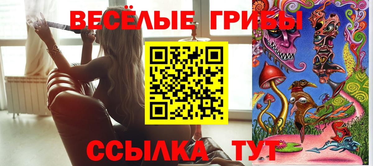 Ленинск-Кузнецкий  Псилоцибиновые грибы Psilocybe  Псилоцибиновые грибы ЛСД  Вход с VPN 